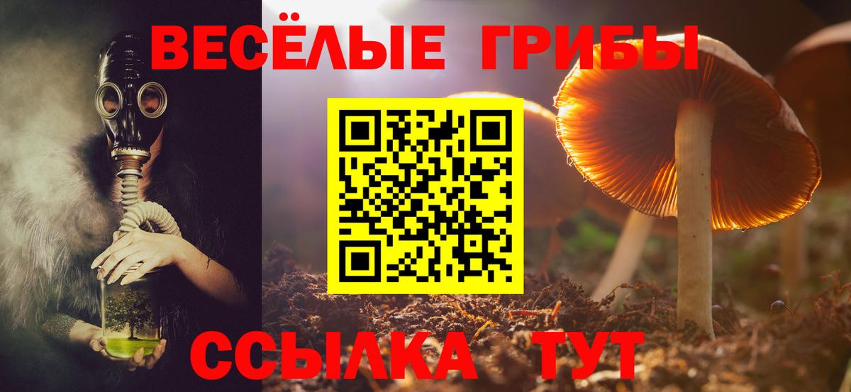 Галлюциногенные грибы Psilocybine cubensis Тихорецк